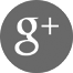 Google+